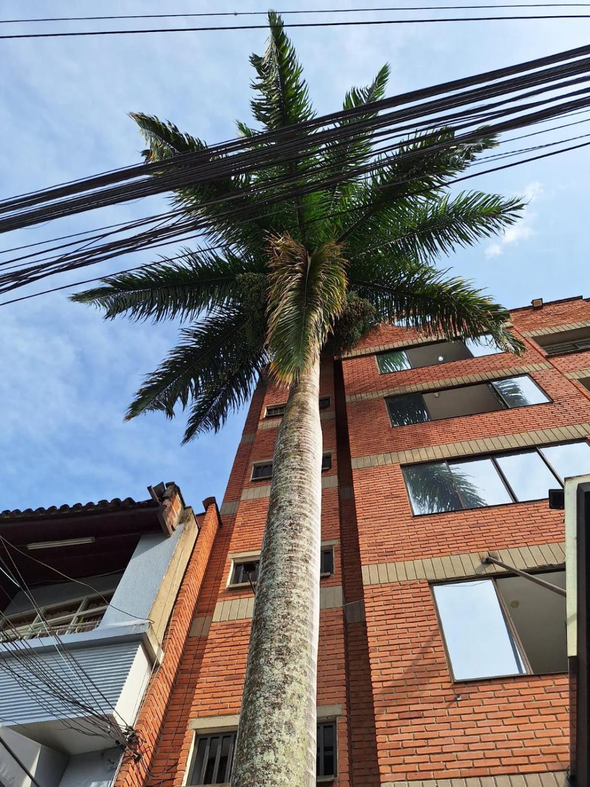 Hotel Suramericana Medellín Zewnętrze zdjęcie